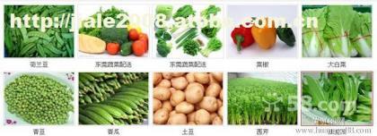 東莞市塘廈送菜公司 新鮮蔬菜批發與配送一站式服務