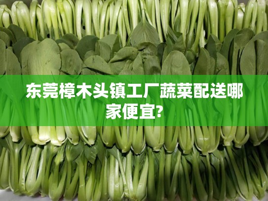 樟木頭鎮(zhèn)工廠蔬菜配送，哪家更便宜又新鮮？