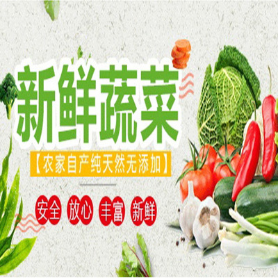 清新區(qū)食材批發(fā)與蔬菜配送服務(wù)報(bào)價(jià)指南 大型市場直供，食堂送菜無憂